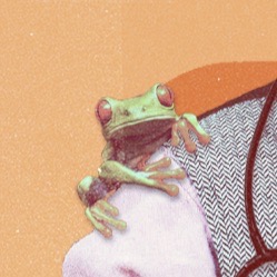 Frog on a shoulder